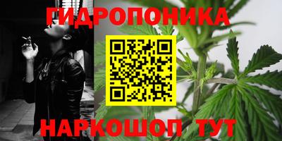 амф Кулебаки