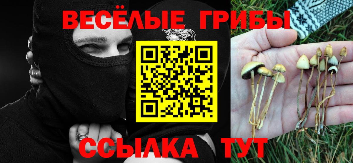 Псилоцибиновые грибы ЛСД  Вход с VPN  Иваново  Галлюциногенные грибы мухоморы 